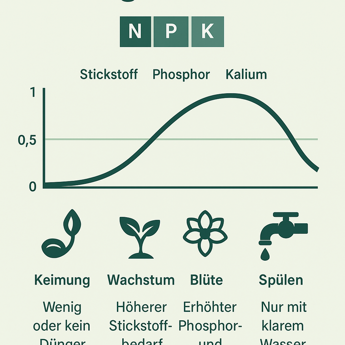 Düngeschema einfach erklärt – so wachsen deine Pflanzen kräftig und gesund
