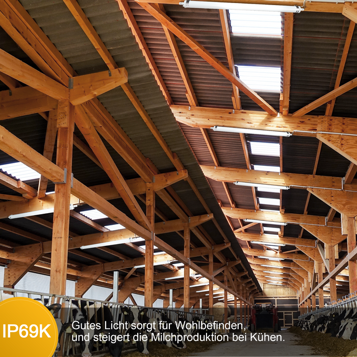 Engel Ewiclo LED-Leuchte – Rohrleuchte IP69K für extreme Umgebungen Engel Lighting