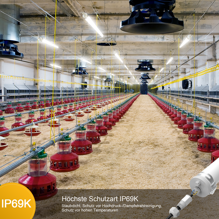 Engel Ewiclo LED-Leuchte – Rohrleuchte IP69K für extreme Umgebungen Engel Lighting