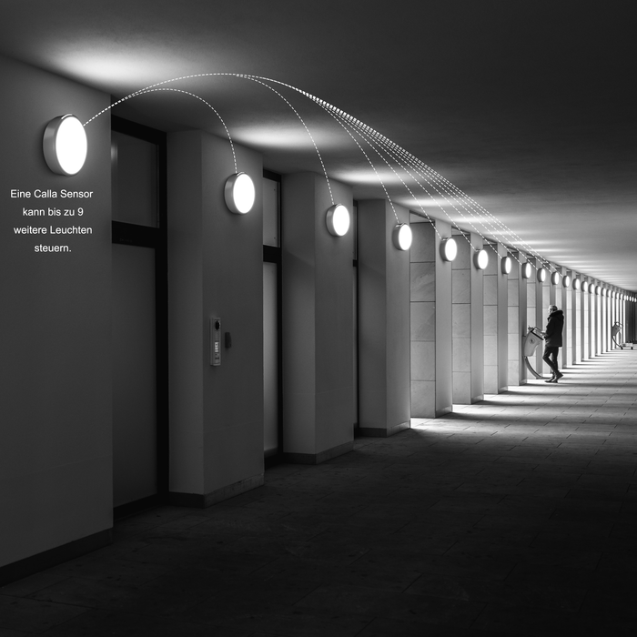 Engel Calla LED-Leuchte – Vernetzbare Wand- & Deckenleuchte optional mit Sensor