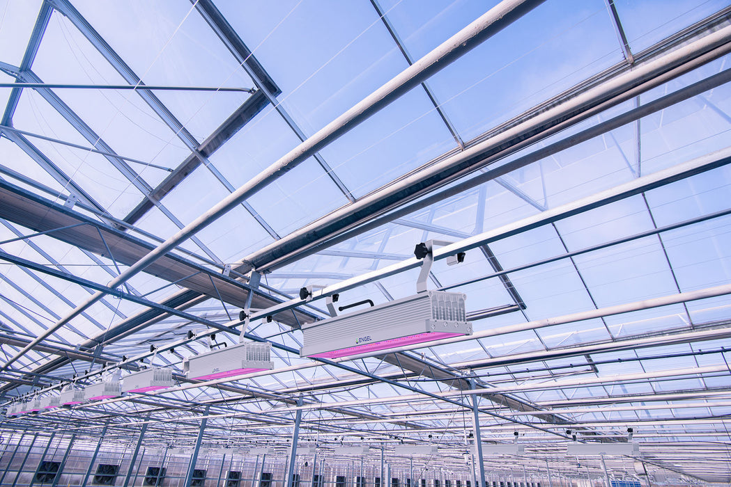 Optimus Eiar LED-Pflanzenleuchte 300W Vollspektrum | Profi Pflanzenlicht mit Würth-LEDs, IP67 & Dimmbar