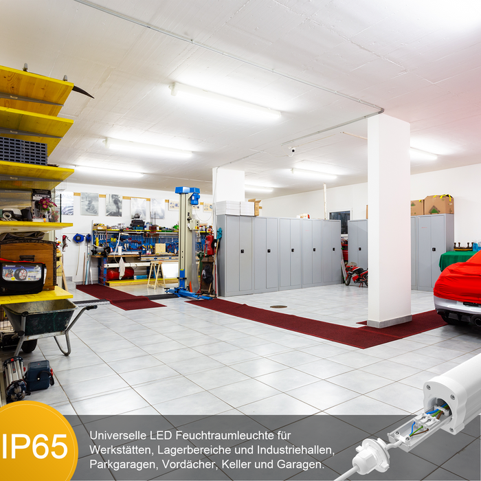 Engel Exton Plus LED-Leuchte – Extrem widerstandsfähig für Industrie Engel Lighting