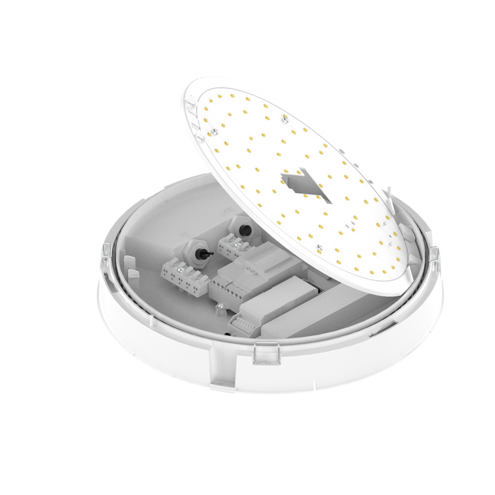 Engel Calla LED-Leuchte – Vernetzbare Wand- & Deckenleuchte optional mit Sensor Engel Lighting