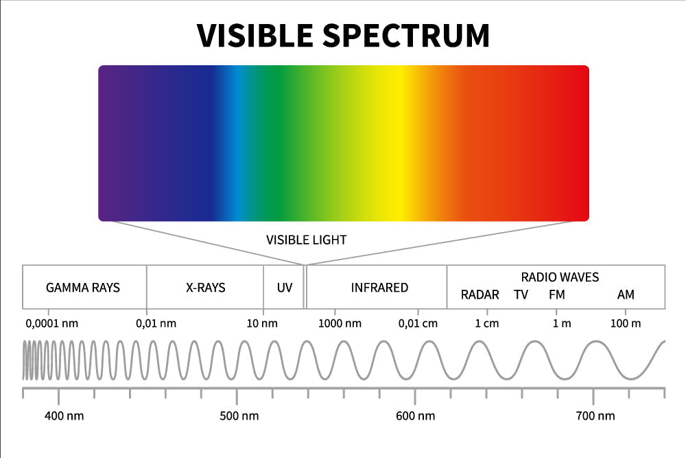 Wie beeinflusst Licht das Pflanzenwachstum? Verschiedene Spektren beeinflussen das Wachstum von Nutzpflanzen - Engel Lighting GmbH & Co. KG