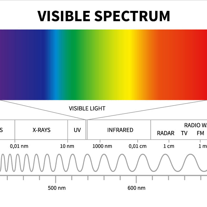 Wie beeinflusst Licht das Pflanzenwachstum? Verschiedene Spektren beeinflussen das Wachstum von Nutzpflanzen - Engel Lighting GmbH & Co. KG