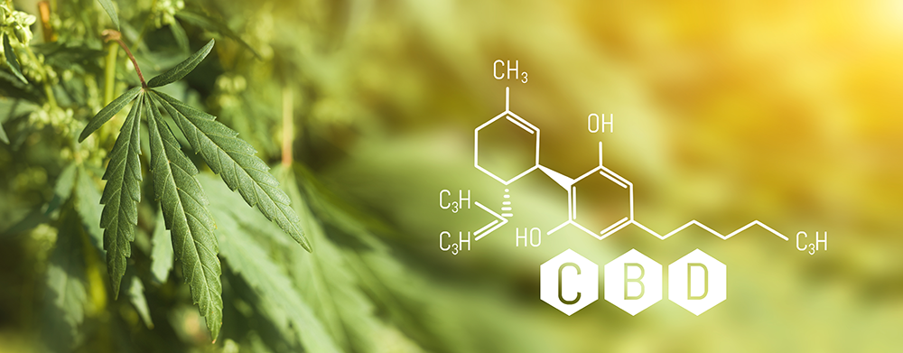 Einfluß von UV-B Strahlung auf Cannabis Blütenbildung und Cannabinoid Konzentration