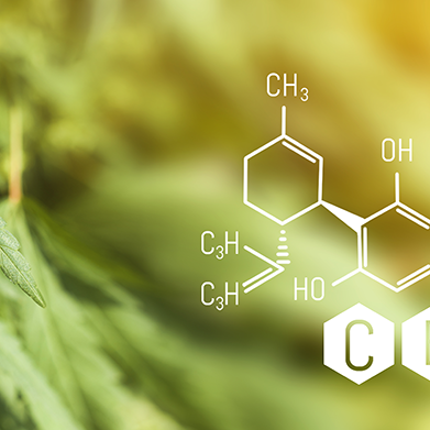 Einfluß von UV-B Strahlung auf Cannabis Blütenbildung und Cannabinoid Konzentration - Engel Lighting GmbH & Co. KG