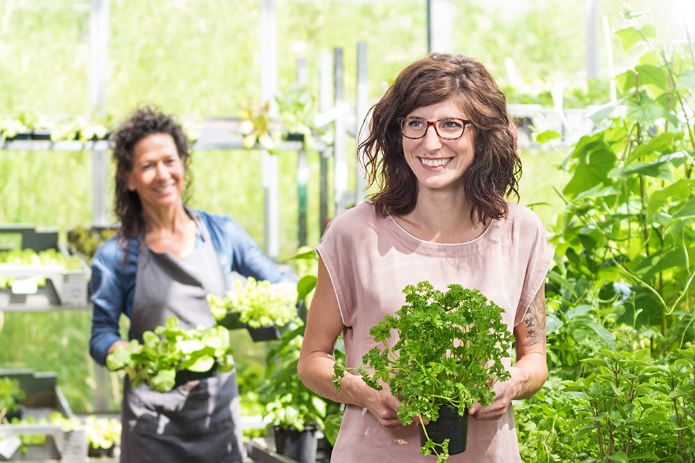 Der Horticulture Beleuchtungsmarkt – ein Ausblick - Engel Lighting GmbH & Co. KG