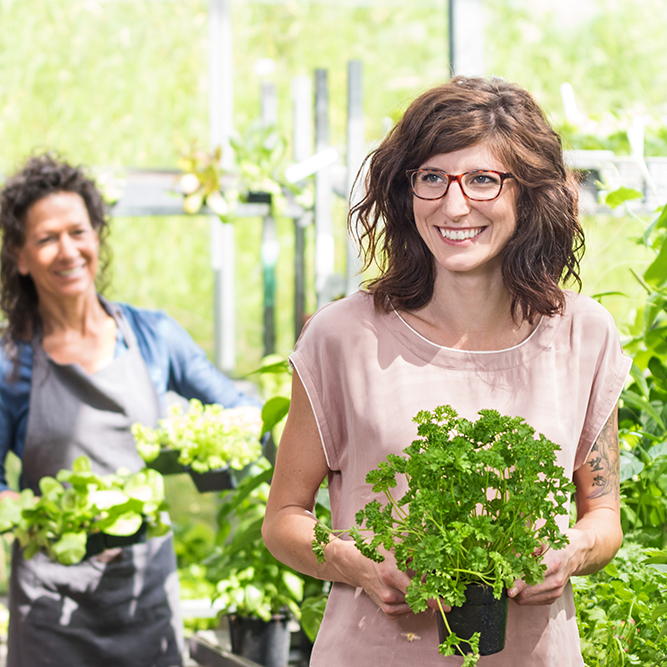 Der Horticulture Beleuchtungsmarkt – ein Ausblick - Engel Lighting GmbH & Co. KG