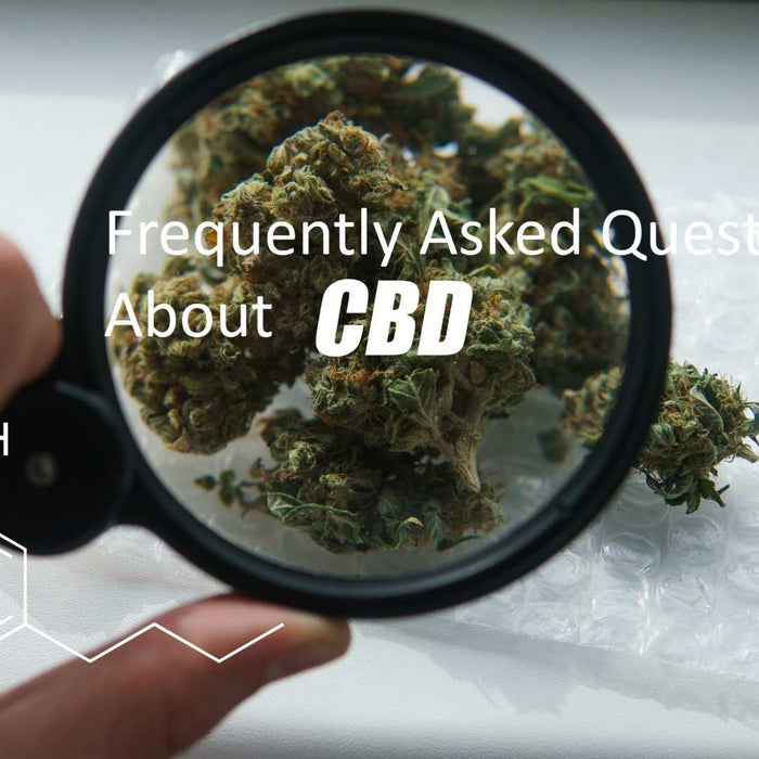 Häufig gestellte Fragen (FAQ) zu CBD