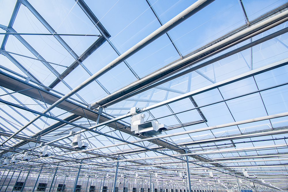 Greenhouse lighting system and which green lightings fit your needs - Engel Lighting GmbH & Co. KG