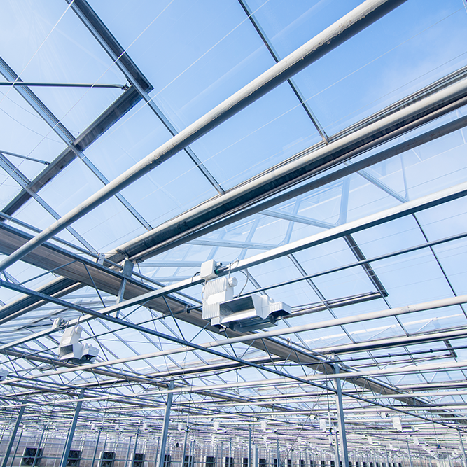 Greenhouse lighting system and which green lightings fit your needs - Engel Lighting GmbH & Co. KG