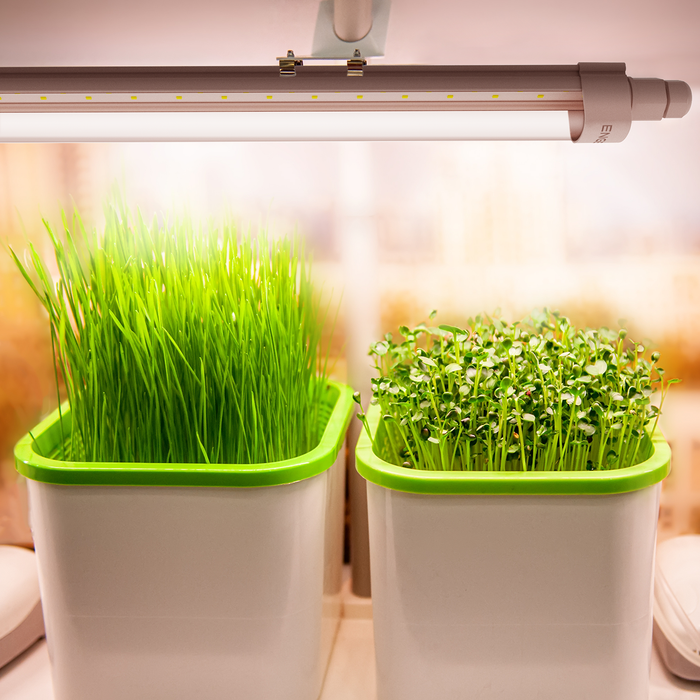 eGrow 1 LED-Pflanzenleuchte