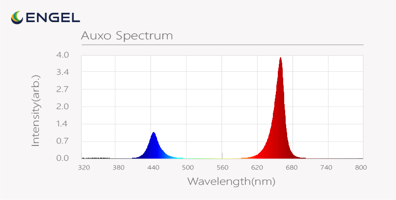 Line LED-Pflanzenleuchte