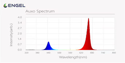 Auxo Spectrum