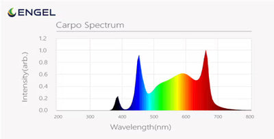 Carpo Spectrum