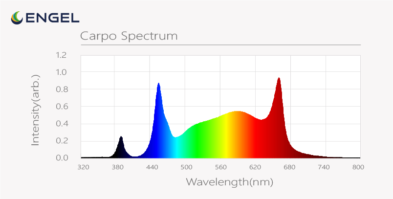 Line LED-Pflanzenleuchte