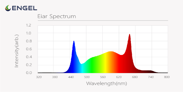 Line LED-Pflanzenleuchte 100W Vollspektrum | Profi Grow Light mit Würth LEDs, IP67 wasserdicht, dimmbar & einfache Montage