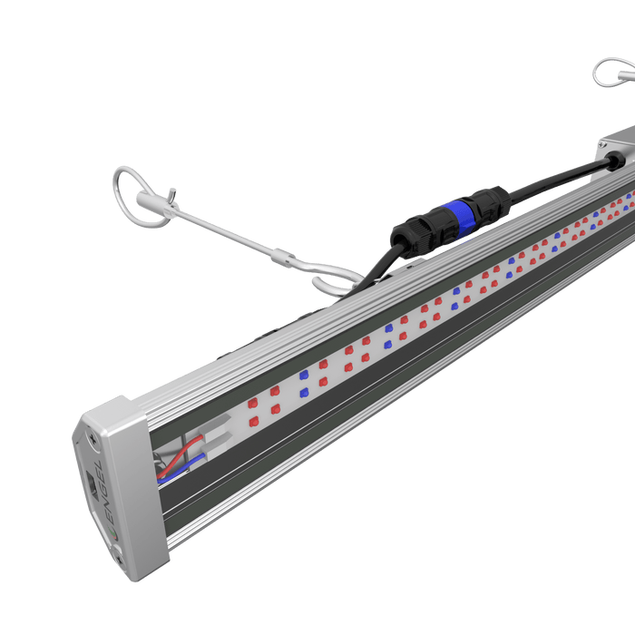 Engel Line LED-Pflanzenleuchte - Engel Lighting GmbH & Co. KG