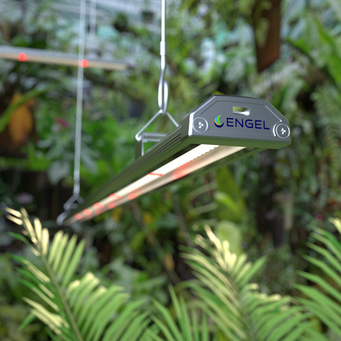 Line LED-Pflanzenleuchte 100W Vollspektrum | Profi Grow Light mit Würth LEDs, IP67 wasserdicht, dimmbar & einfache Montage