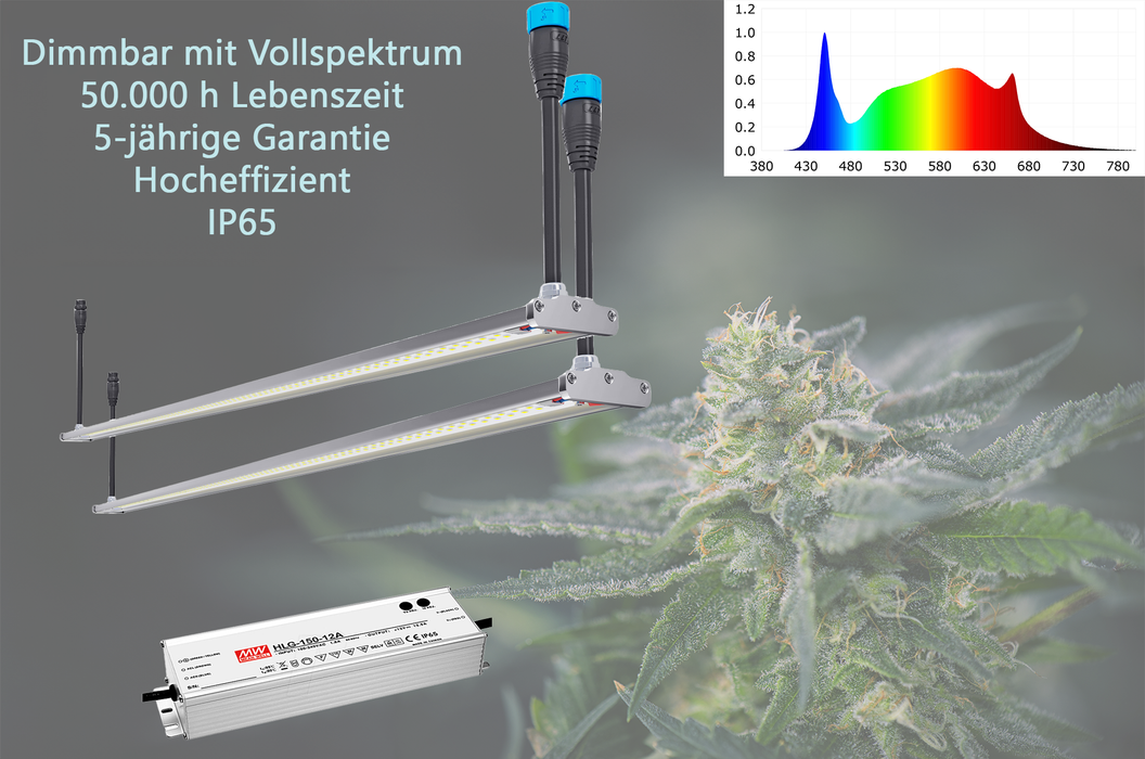 Engel Flora LED-Pflanzenleuchte – Set -  Maximale Effizienz für Indoor- &  Gewächshausanbau
