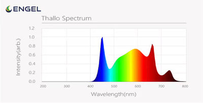 Thallo Spectrum