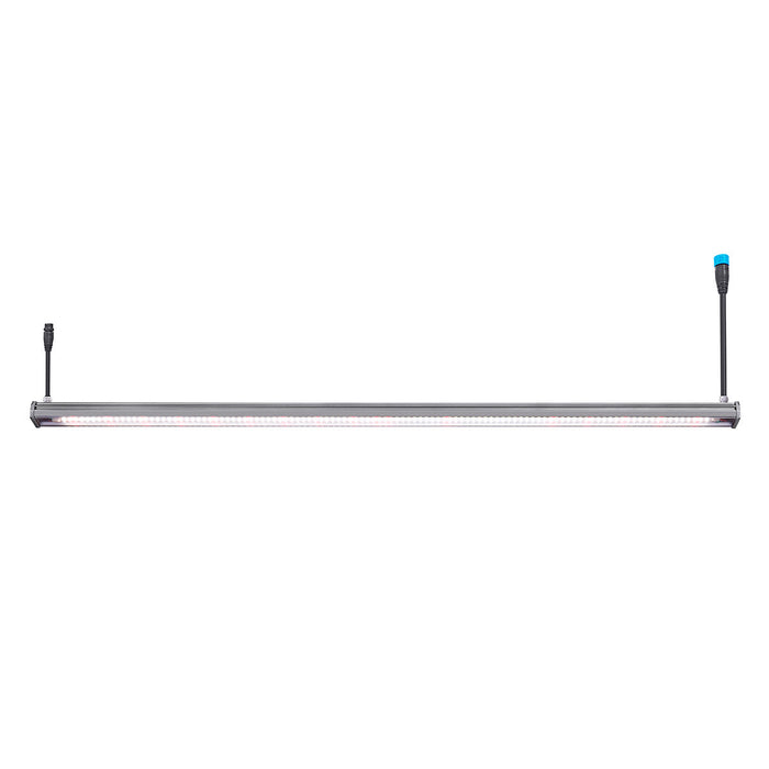 Engel Flora LED-Pflanzenleuchte – Set -  Maximale Effizienz für Indoor- &  Gewächshausanbau