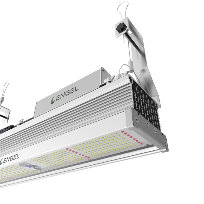 Engel Optimus LED-Pflanzenleuchte - Engel Lighting GmbH & Co. KG